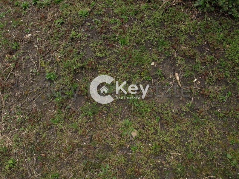 property-img