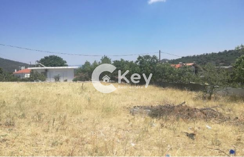 property-img
