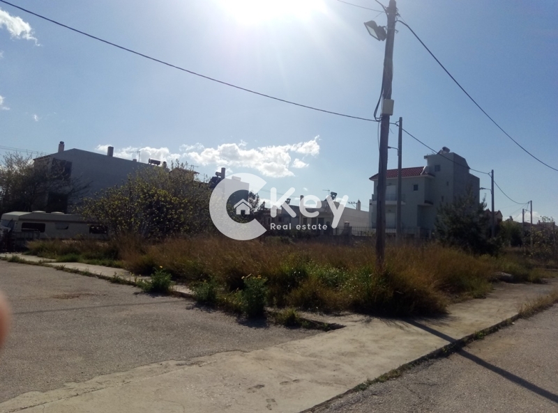 property-img