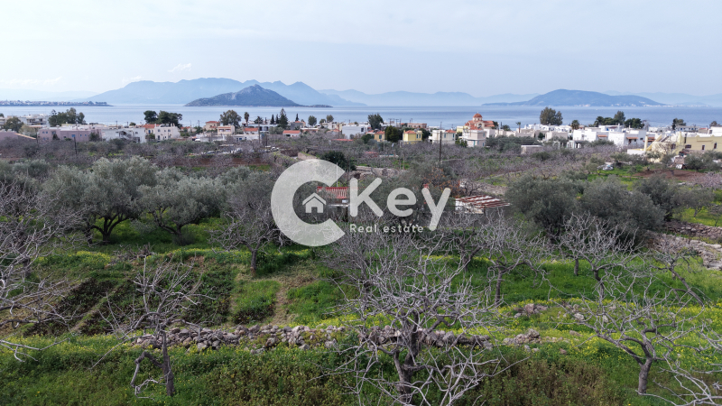 property-img