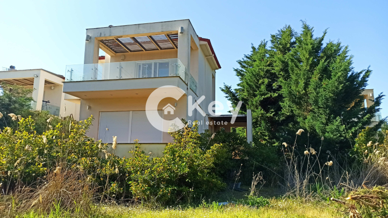 property-img