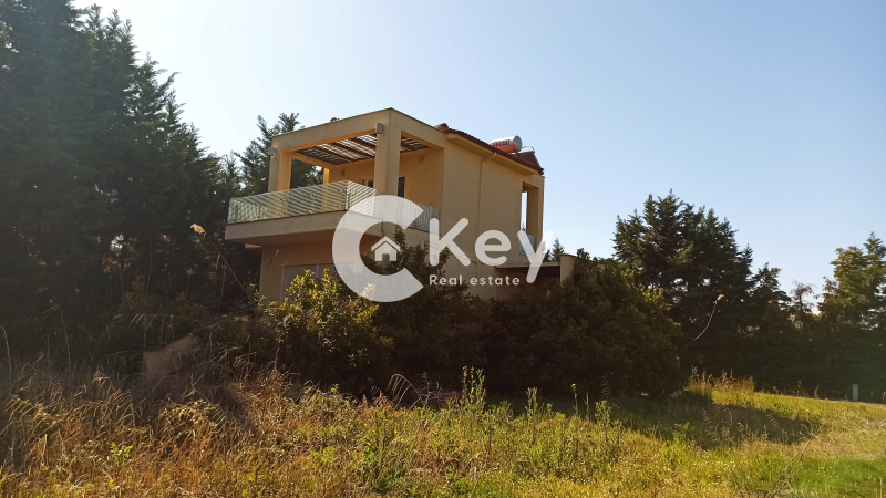 property-img
