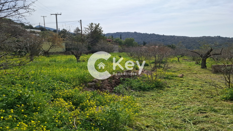 property-img